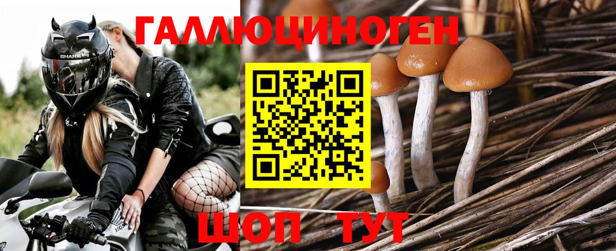 Псилоцибиновые грибы ЛСД  Вход с VPN  Выборг 
